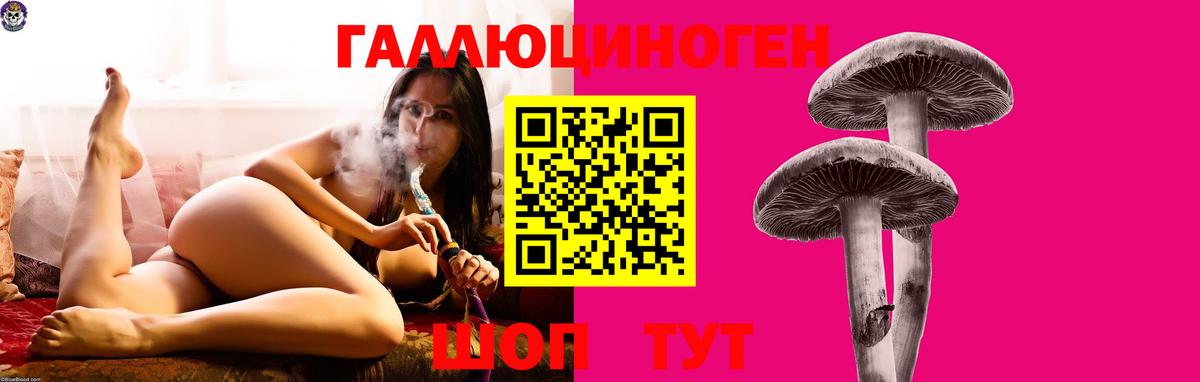 Евпатория  Галлюциногенные грибы мицелий  Галлюциногенные грибы прущие грибы  Вход с VPN 